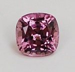 SPINEL