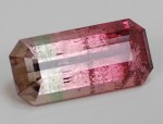 TOURMALINE - Bicolor